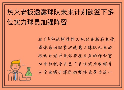 热火老板透露球队未来计划欲签下多位实力球员加强阵容